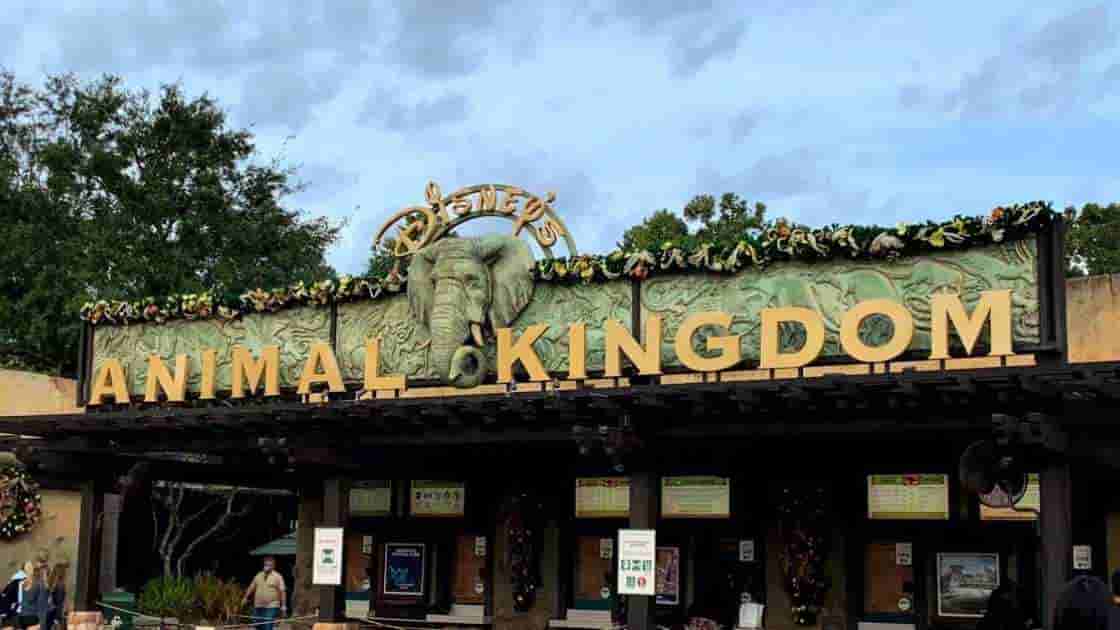 Animal Kingdom